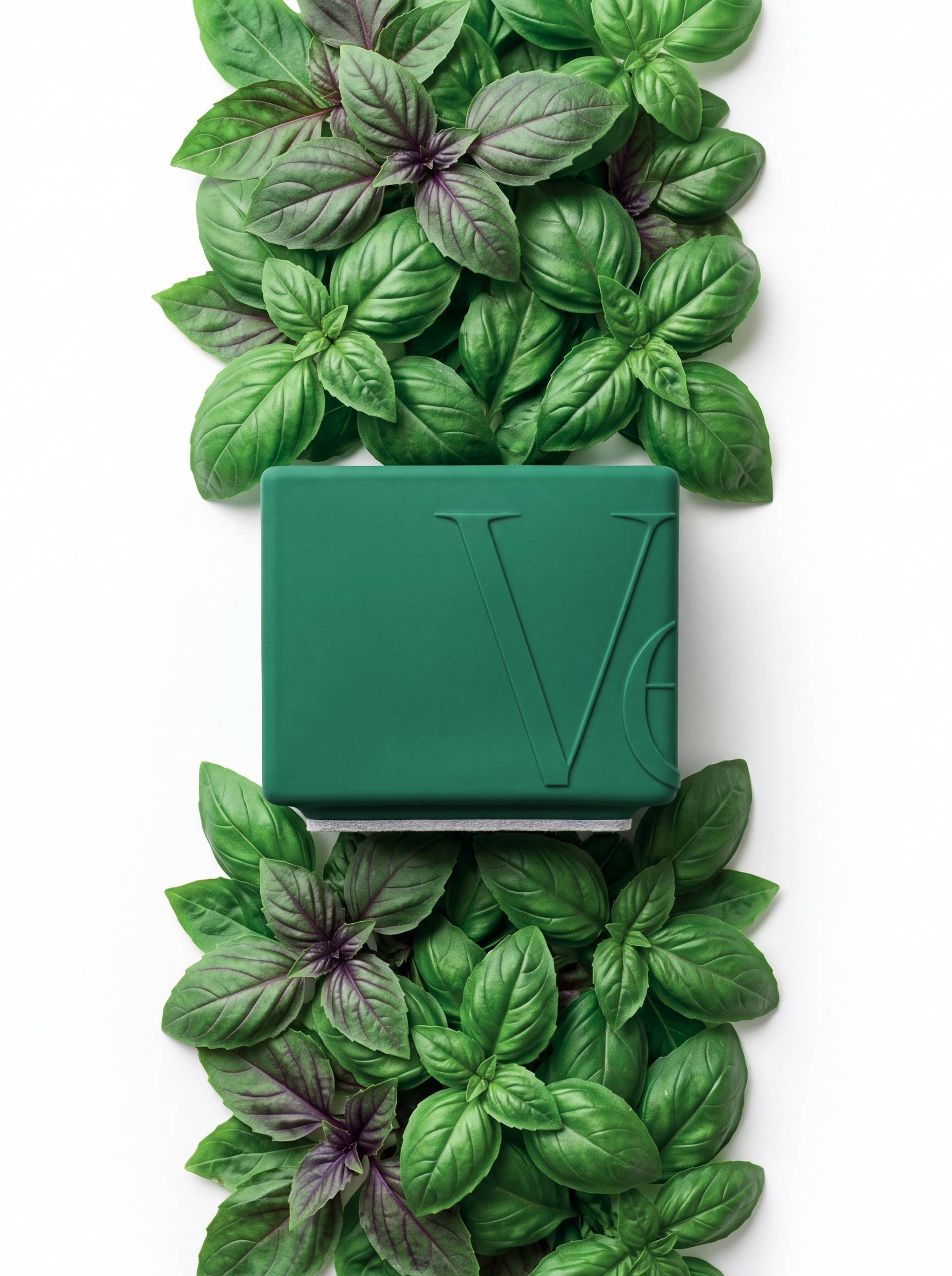 Verba Basilico limited edition natural essential oil candle hand poured with coconut-apricot wax — Toronto Canada