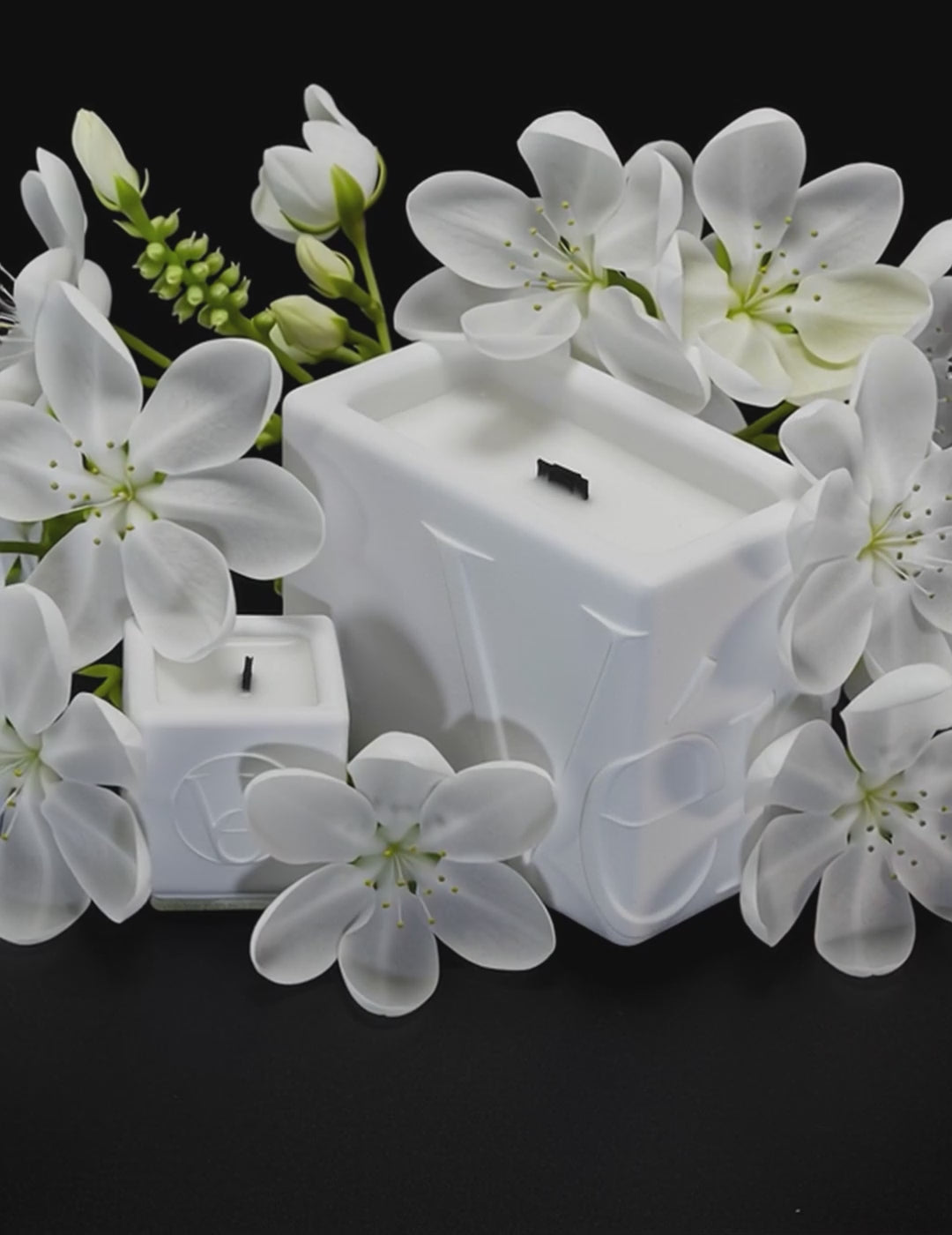 White Verba candles surrounded by blooming neroli and jasmine flowers — Cozy Neroli fragrance video.