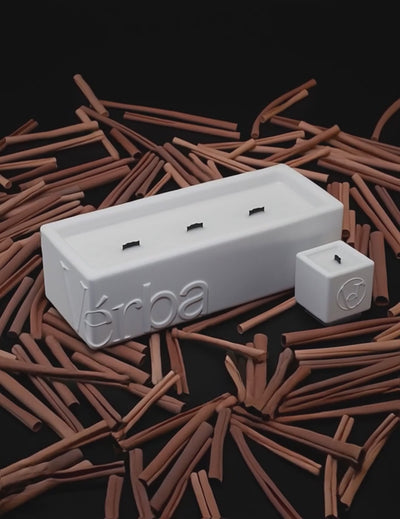 Large white Verba candle surrounded by cinnamon sticks — Cinnamon Hug fragrance video